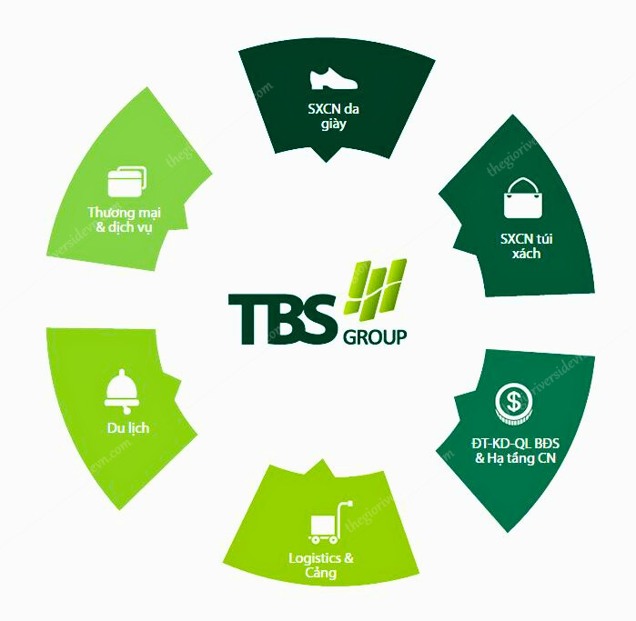 Lĩnh Vực Hoạt động Tbs Land