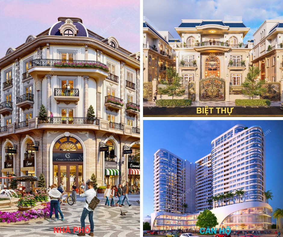 Lĩnh Vực Hoạt động