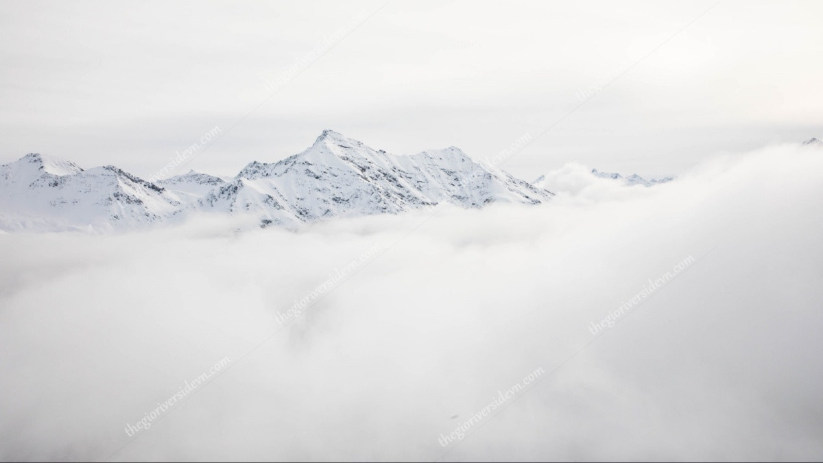 Hinh-nen-trang-thumb